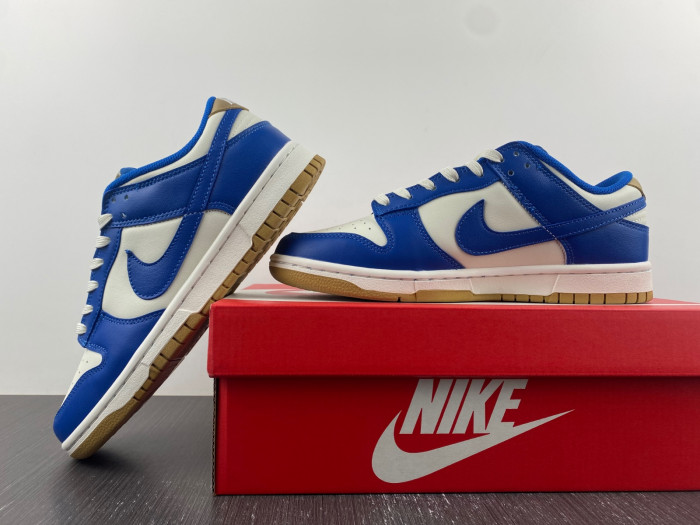 Nike Dunk Low FB7173-141