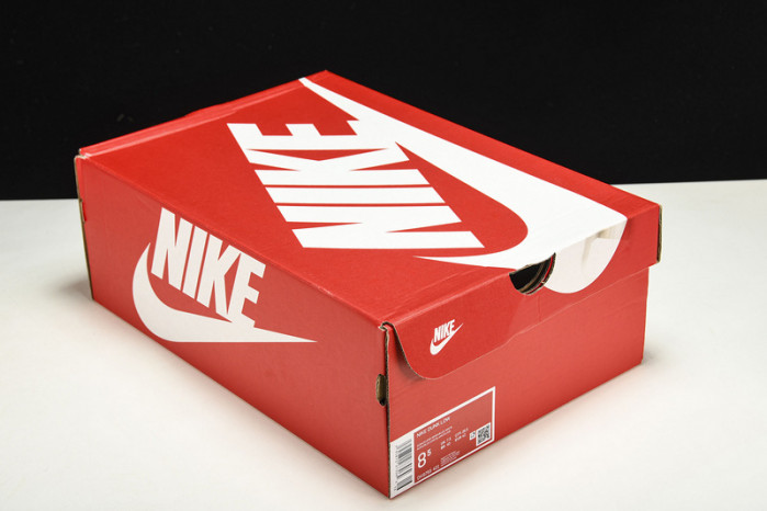 Nike Dunk Low GS  DH9765-401