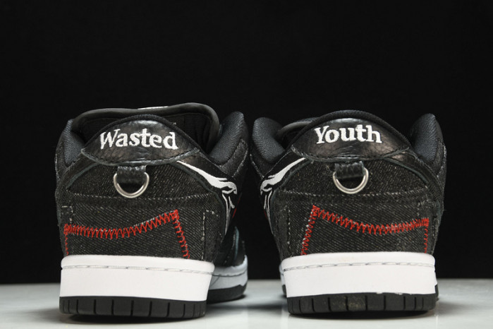 Wasted Youth x Nike SB Dunk Low DD8386-001
